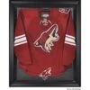 Arizona Coyotes Black Framed Logo Jersey Display Case