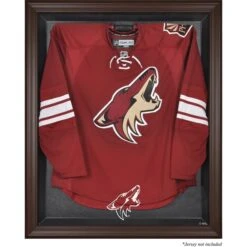 Arizona Coyotes Brown Framed Logo Jersey Display Case