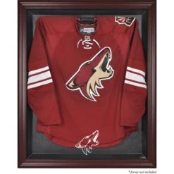 Arizona Coyotes Mahogany Framed Jersey Display Case