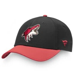 Men's Fanatics Branded Black Arizona Coyotes 2019 NHL Draft Flex Hat