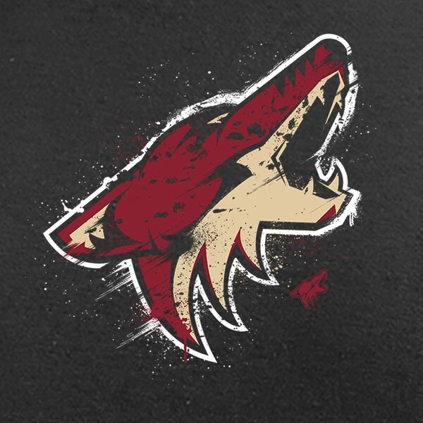 Men's Fanatics Branded Black Arizona Coyotes Splatter Logo Pullover Hoodie - Image 4