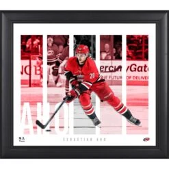 Sebastian Aho Carolina Hurricanes Framed 15'' X 17'' Player Panel Collage