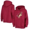 Youth Fanatics Branded Garnet Arizona Coyotes Primary Logo Pullover Hoodie