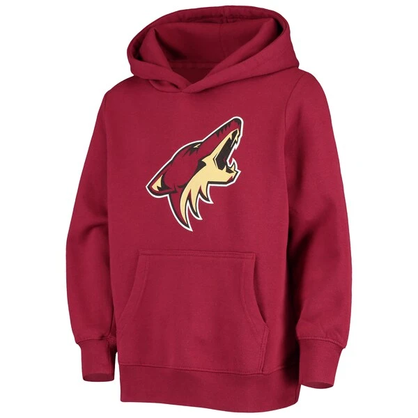 Youth Fanatics Branded Garnet Arizona Coyotes Primary Logo Pullover Hoodie - Image 2